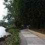 Gold Coast Regional Botanic Gardens - Rosser Park