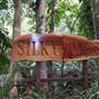 Silky Oaks Lodge - Mossman