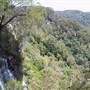 Springbrook National Park