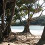 Tallebudgera Beach