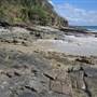 Noosa - Tea Tree Beach Area