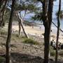 Noosa - Tea Tree Beach Area