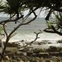 Noosa - Tea Tree Beach Area