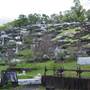 Toowong Cemetery