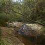 Goomoolahra Falls - Springbrook NP