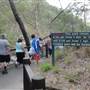 Cedar Creek Falls