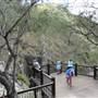 Cedar Creek Falls