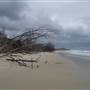 Minjeeribah (North Stradbroke Island) - Home Beach