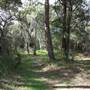 Coochiemudlo Island