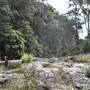 Purling Brook Falls - Springbrook National Park