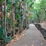 Kholo Botanic Gardens