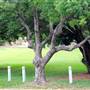 Queens Park, Upper Area