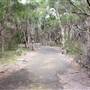 Purga Nature Reserve