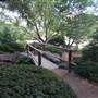 Japanese Garden - University of Southern Queensland