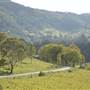 Winding Scenic Mountain Road - National Park