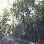 Winding Scenic Mountain Road - National Park