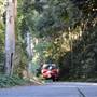 Winding Scenic Mountain Road - National Park