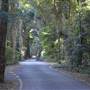 Winding Scenic Mountain Road - National Park