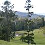 Winding Scenic Mountain Road - National Park