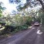 O'Reillys Rainforest Retreat