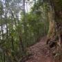 Moran Falls