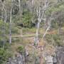 Moran Falls