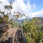 O'Reillys Rainforest Retreat