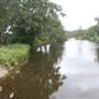 Coomera River (Upper)