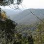 Purling Brook Falls - Springbrook National Park