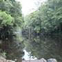 Upper Maroochy River