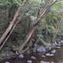 Upper Maroochy River