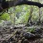 Upper Maroochy River