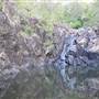 Rocky Creek Falls