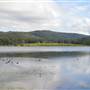 Wappa Dam