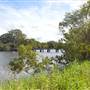Maroochy River / Old Rail Bridge