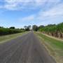 Bundaberg Region - Cane Road Alley (Kalkie)
