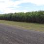 Bundaberg Region - Cane Road Alley (Kalkie)