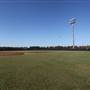 Major League Baseball Infields & Batting Cages