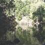 Whitsundays - Cedar Creek Falls
