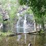Whitsundays - Cedar Creek Falls