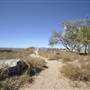 Kings Beach (Bowen)