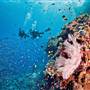 Great Barrier Reef