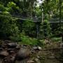 Mossman Gorge