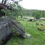 The Backlot, Bonogin - Overview