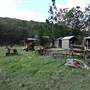 The Backlot, Bonogin - Overview