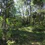 The Backlot, Bonogin - Overview