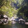 Spring Creek - near Port Douglas
