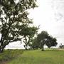 Cardwell - Coastline & Jetty