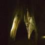 Chillagoe Caves - Donna Cave