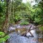 Tully Gorge National Park